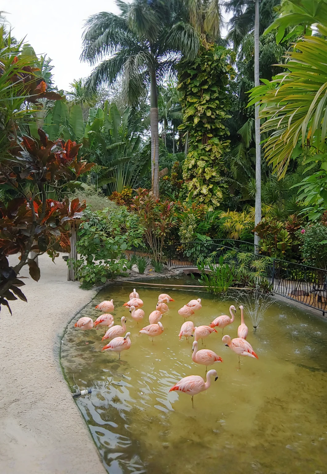 4th Annual Plantapolooza